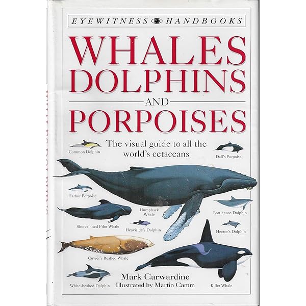 Whale (Eyewitness): Papastavrou, Vassili, Greenaway, Frank